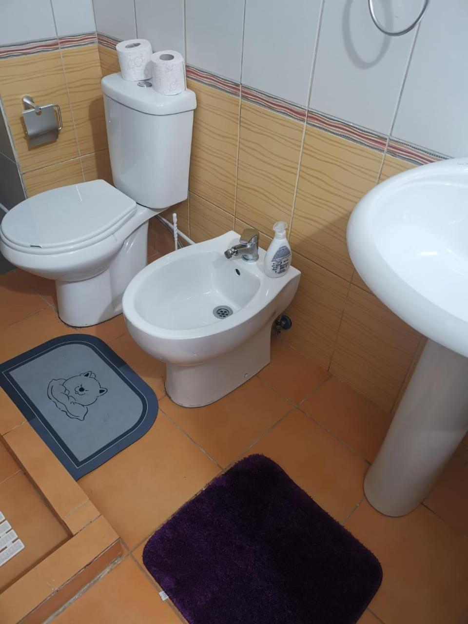 Downtown Authentic Apartment Tirana Myslym Shyri Luaran gambar